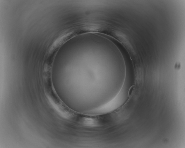 X0000112970167200908271151