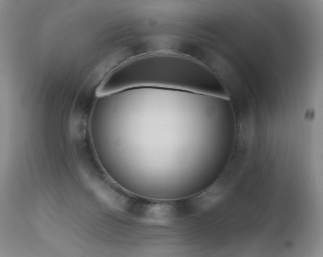 X0000112970168200908271151