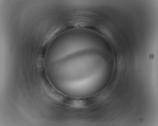 X0000112970169200908271151