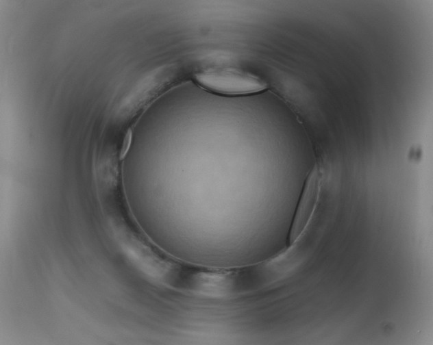 X0000112970170200908271151