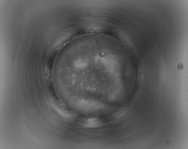 X0000112970173200908271151