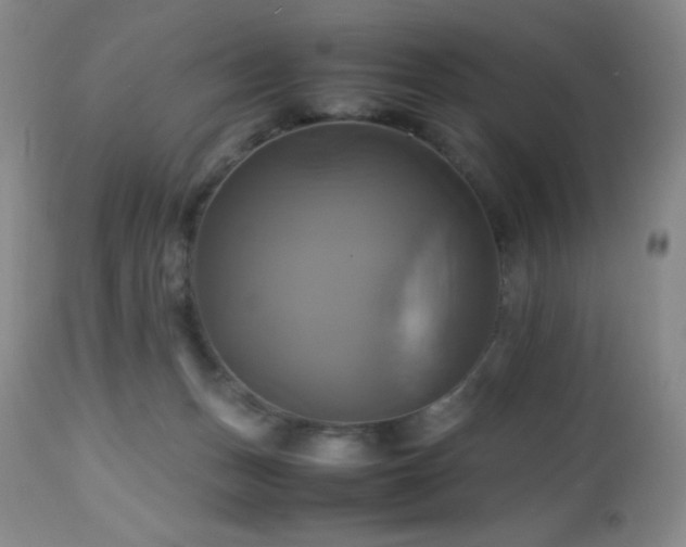 X0000112970175200908271151