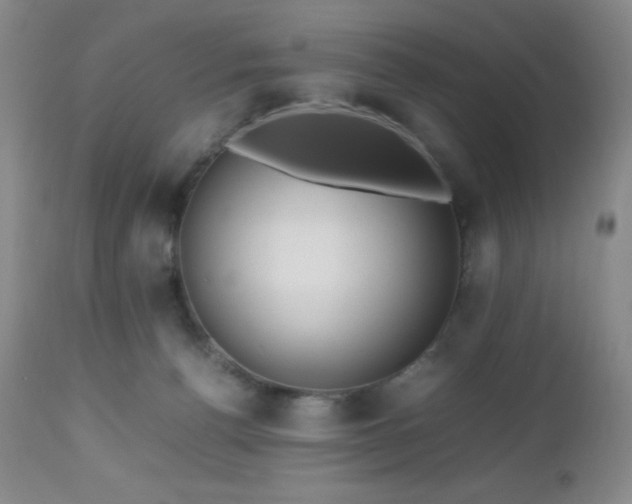 X0000112970176200908271151