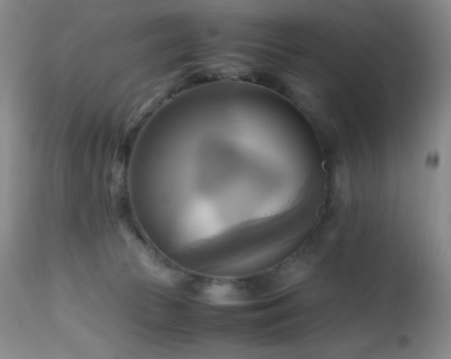 X0000112970177200908271151