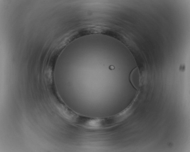 X0000112970178200908271151