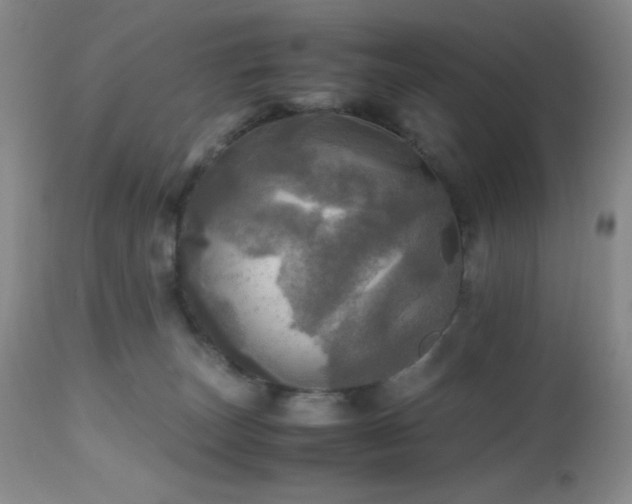 X0000112970179200908271151