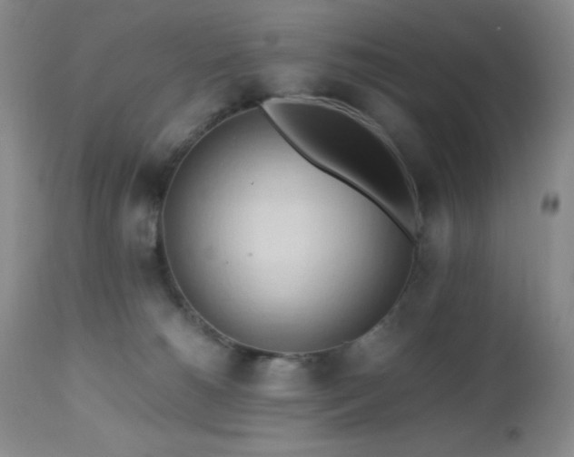 X0000112970180200908271151