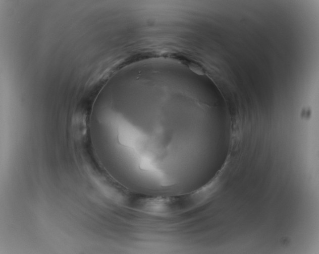 X0000112970182200908271151