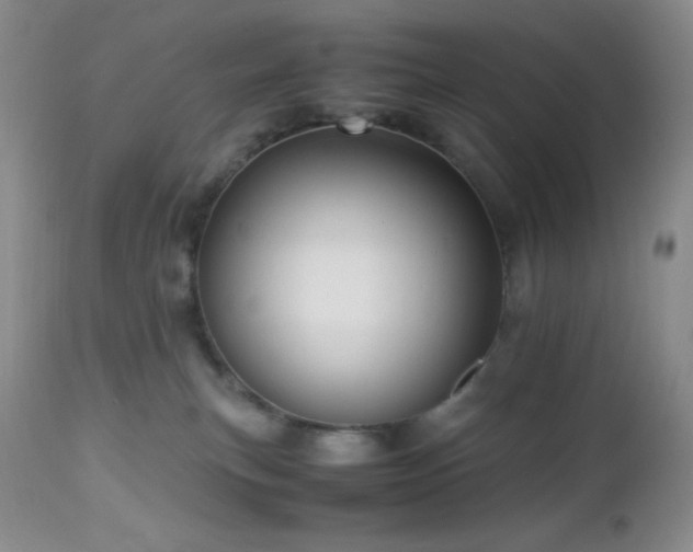 X0000112970183200908271151