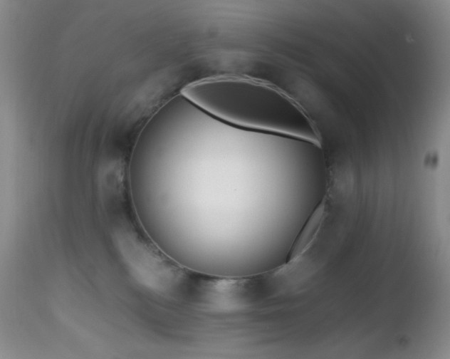 X0000112970184200908271151