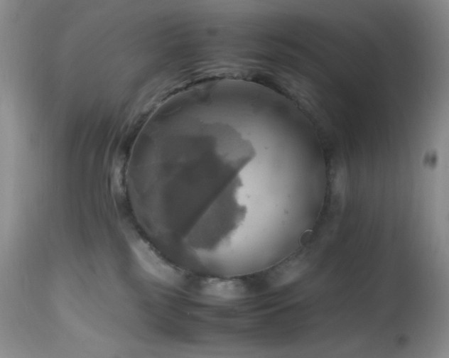 X0000112970185200908271151