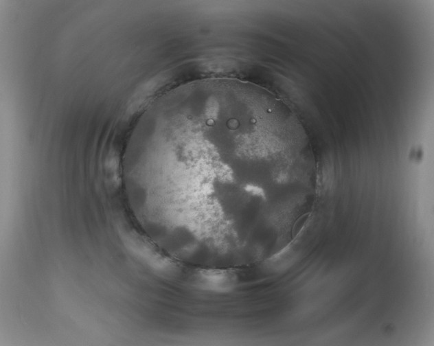 X0000112970187200908271151