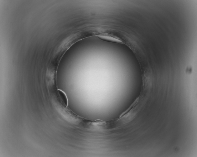 X0000112970188200908271151