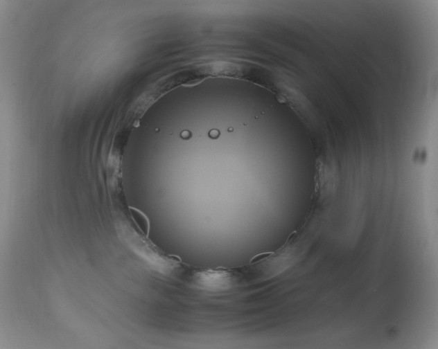 X0000112970189200908271151