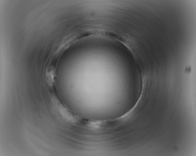 X0000112970190200908271151