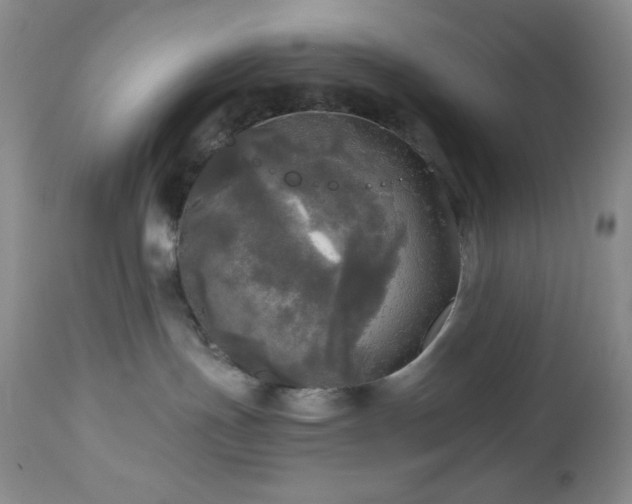 X0000112970191200908271151