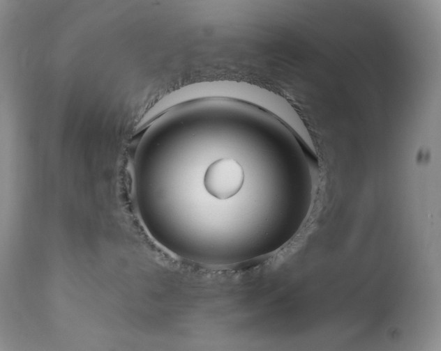 X0000112970192200908271151