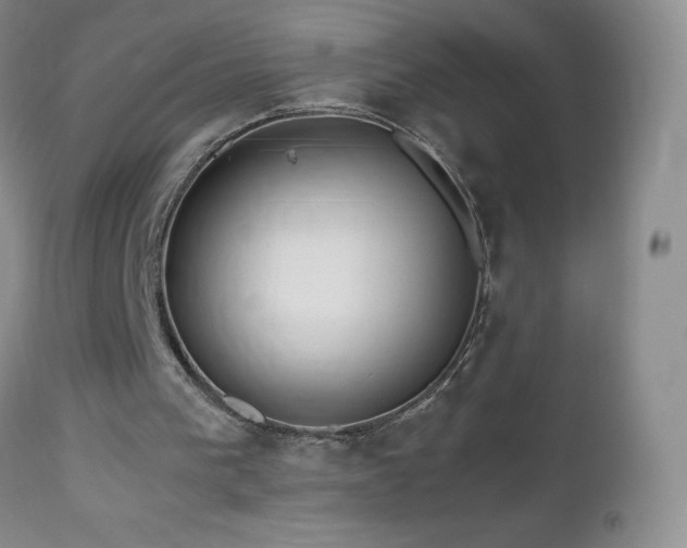 X0000112970193200908271151