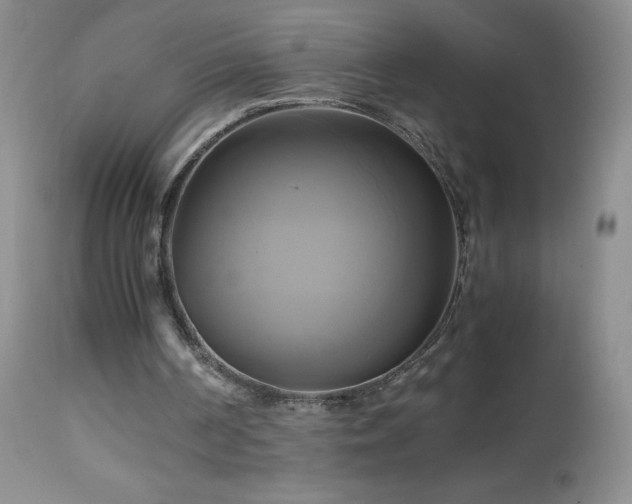 X0000112970194200908271151