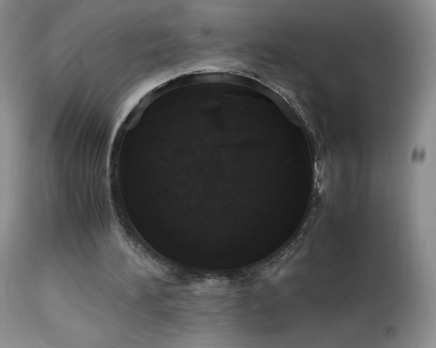 X0000112970196200908271151