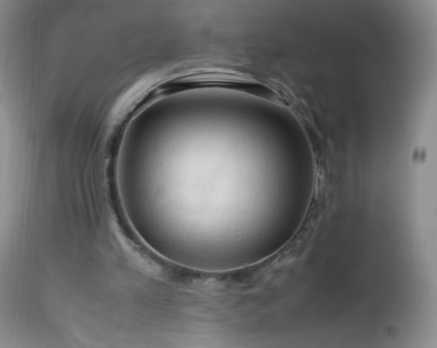 X0000112970197200908271151