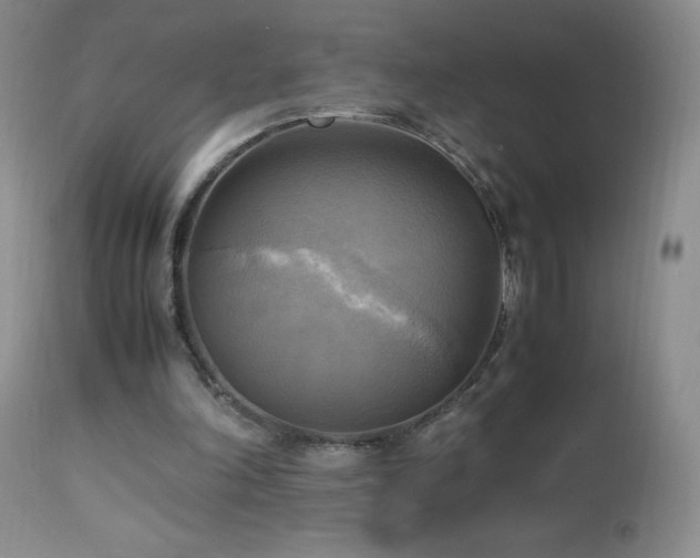 X0000112970198200908271150