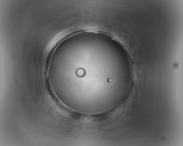 X0000112970199200908271150