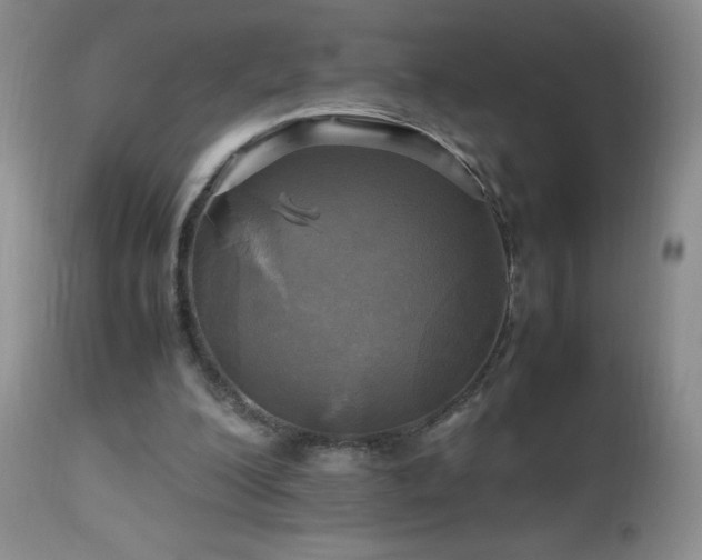 X0000112970200200908271150