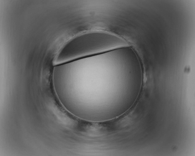 X0000112970201200908271150