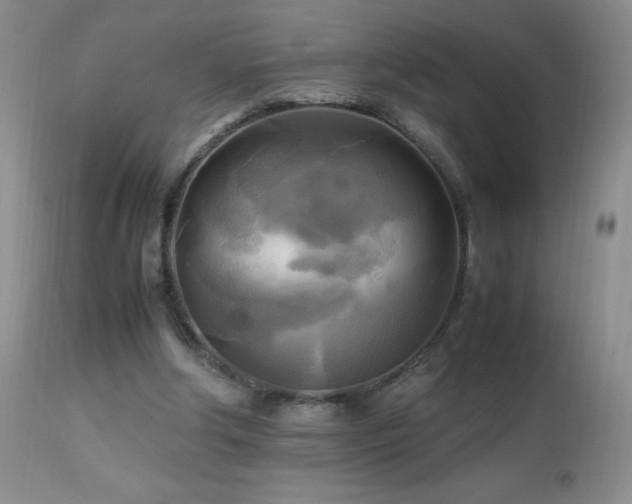 X0000112970202200908271150