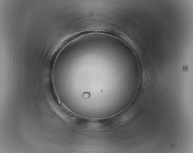 X0000112970203200908271150