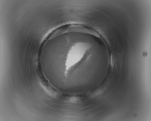 X0000112970204200908271150