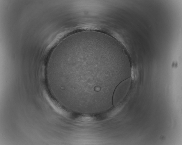 X0000112970205200908271150