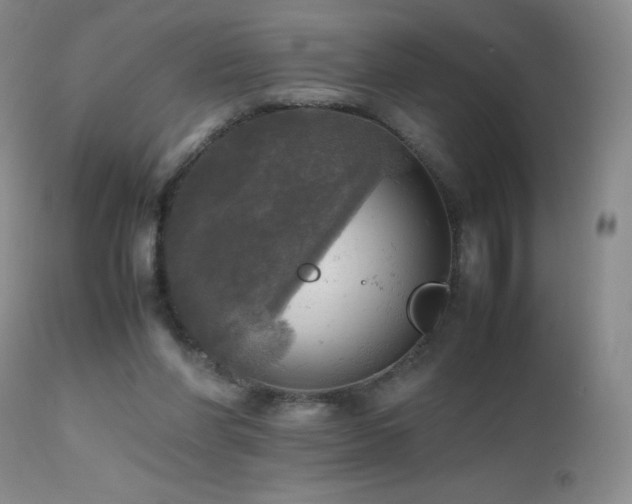 X0000112970206200908271150