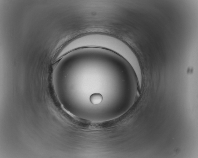 X0000112970207200908271150