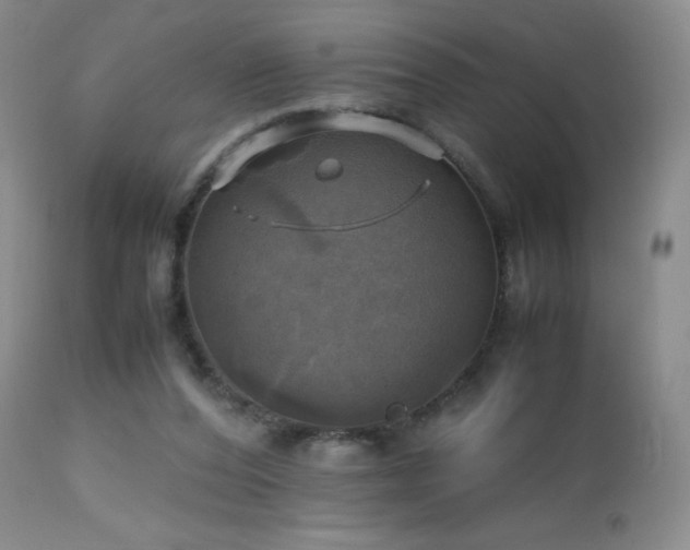 X0000112970208200908271150