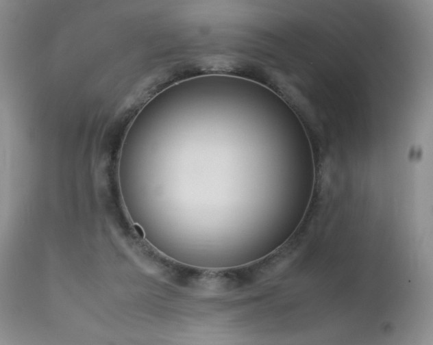 X0000112970209200908271150