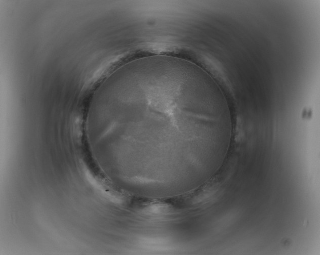 X0000112970210200908271150