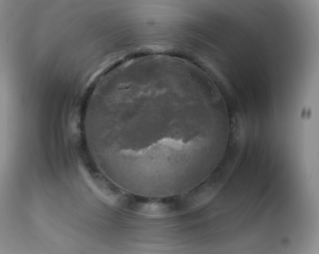 X0000112970212200908271150