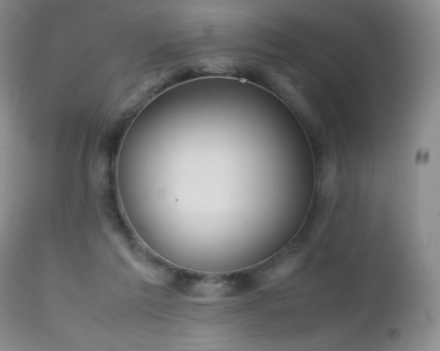 X0000112970213200908271150