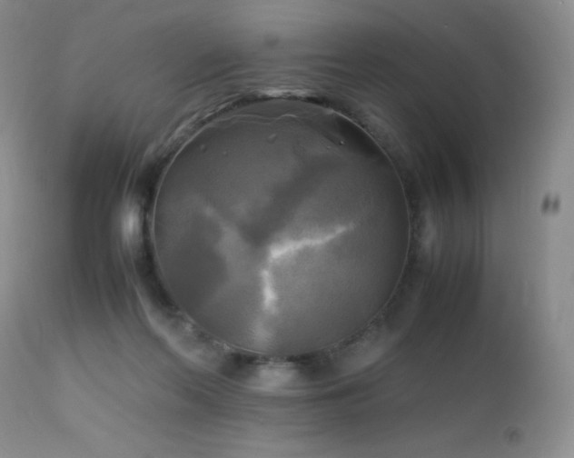 X0000112970214200908271150