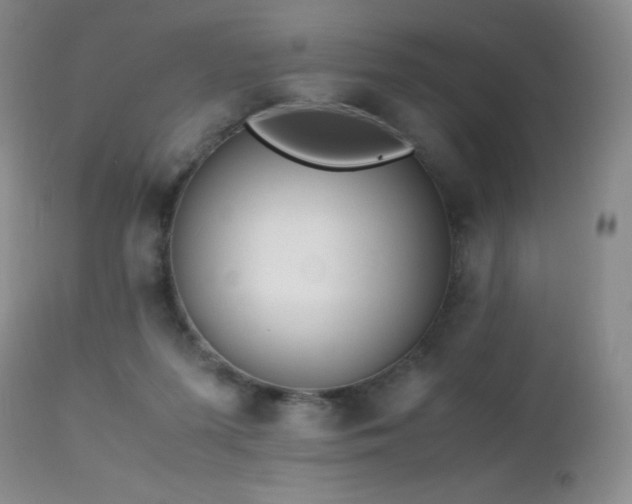 X0000112970215200908271150