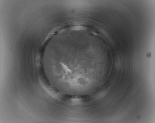 X0000112970216200908271150