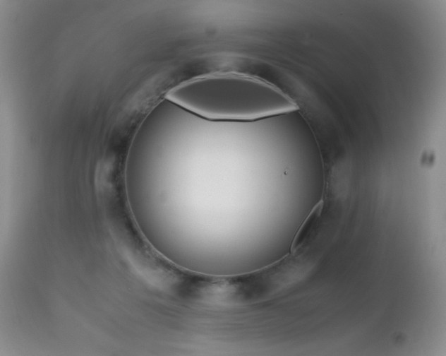 X0000112970217200908271150