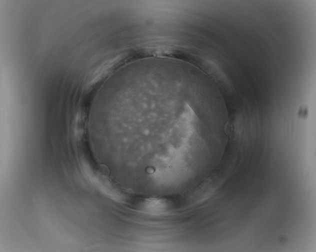 X0000112970218200908271150