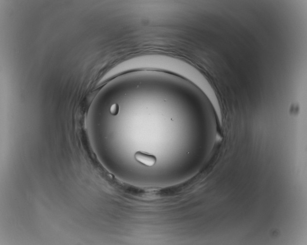 X0000112970219200908271150