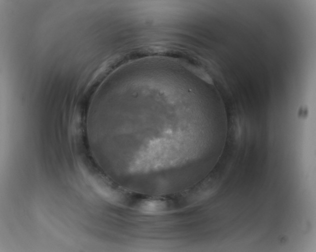 X0000112970220200908271150