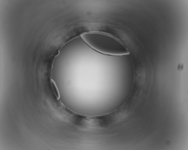 X0000112970221200908271150