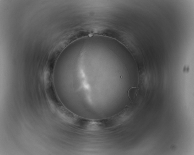 X0000112970222200908271150