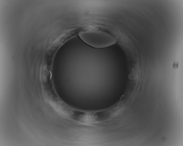 X0000112970223200908271150